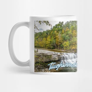 Taughannock Falls Tompkins County New York Mug